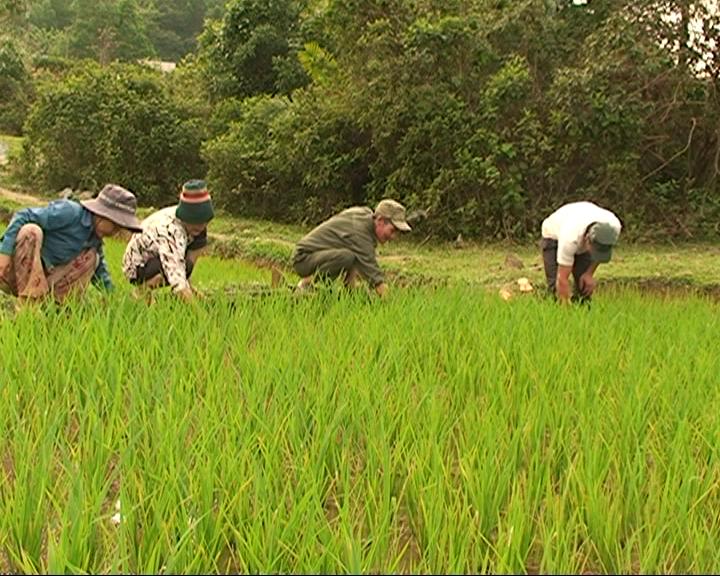 Trước mùa tuyển quân năm 2011