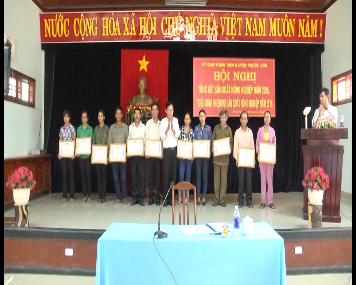 Tổng kết sản xuất nông nghiệp năm 2015