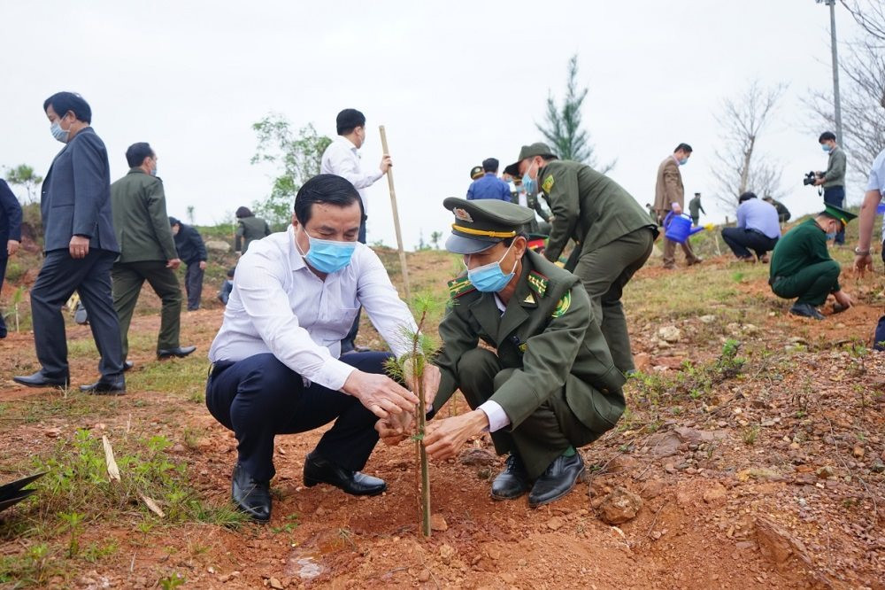 Quảng Nam phấn đấu tổ chức trồng 10,3 triệu cây xanh trong năm 2023
